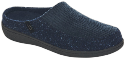 Biotime Men's Ernie Slippers - Blue